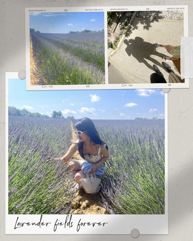 Lavender fields in Beaumont-de-Pertuis in South of France.