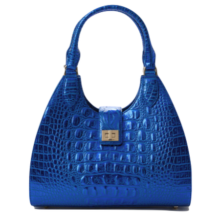 brahmin bag