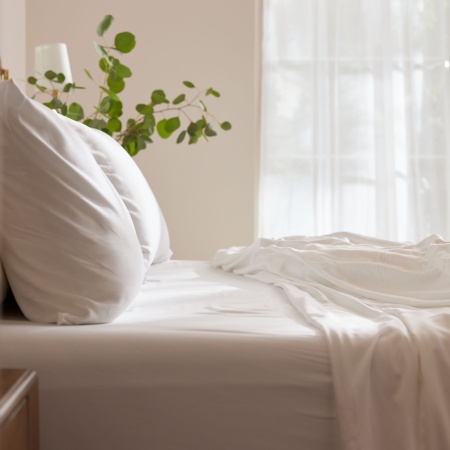 cozy earth bamboo sheet set