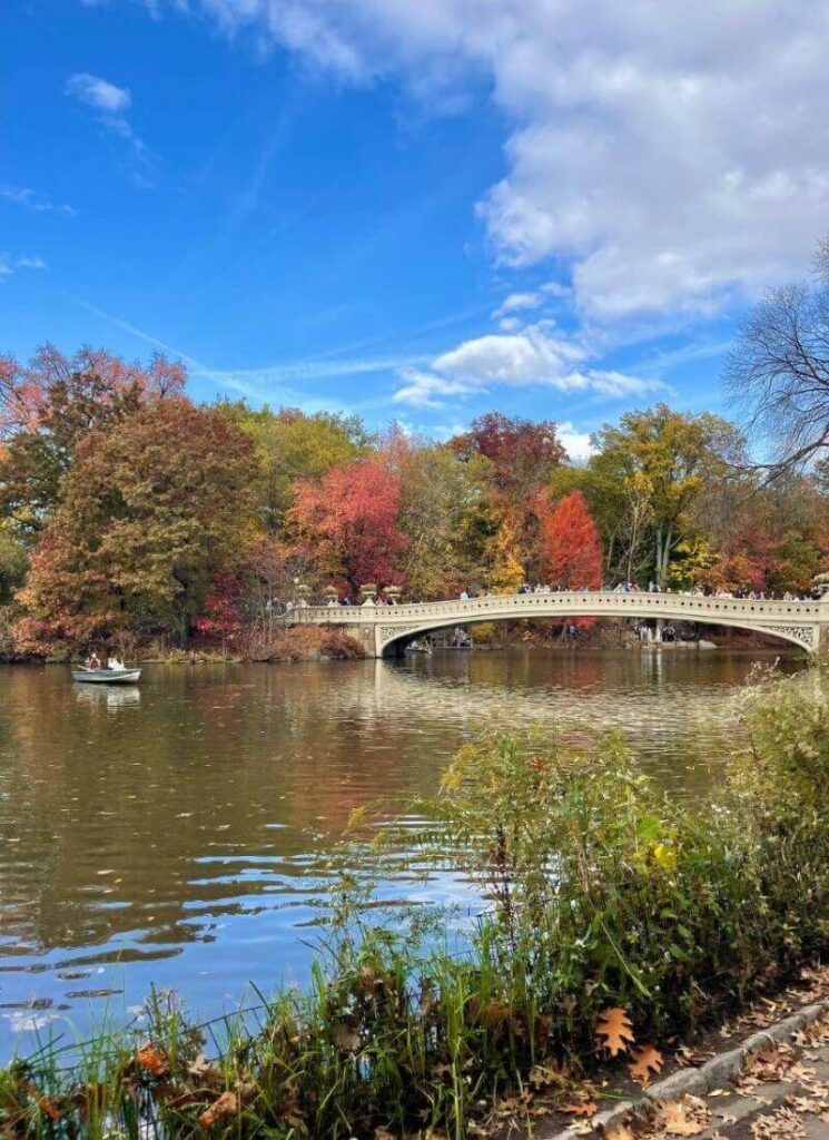 Central Park Bow Bridge, fall activities nyc