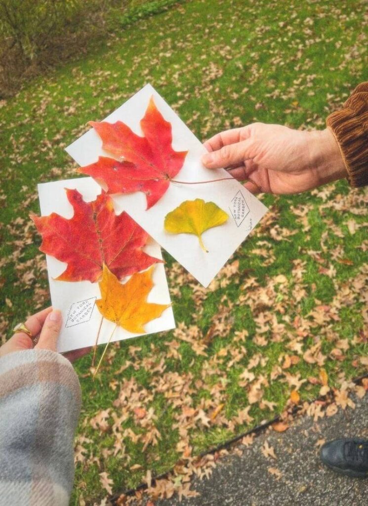 Two hands holding paper with autumn leaves on it, a fun fall activity