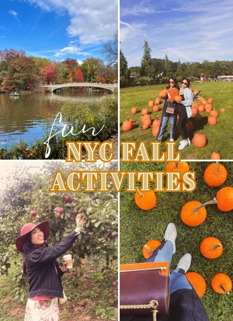 Four photos showing NYC fall activities