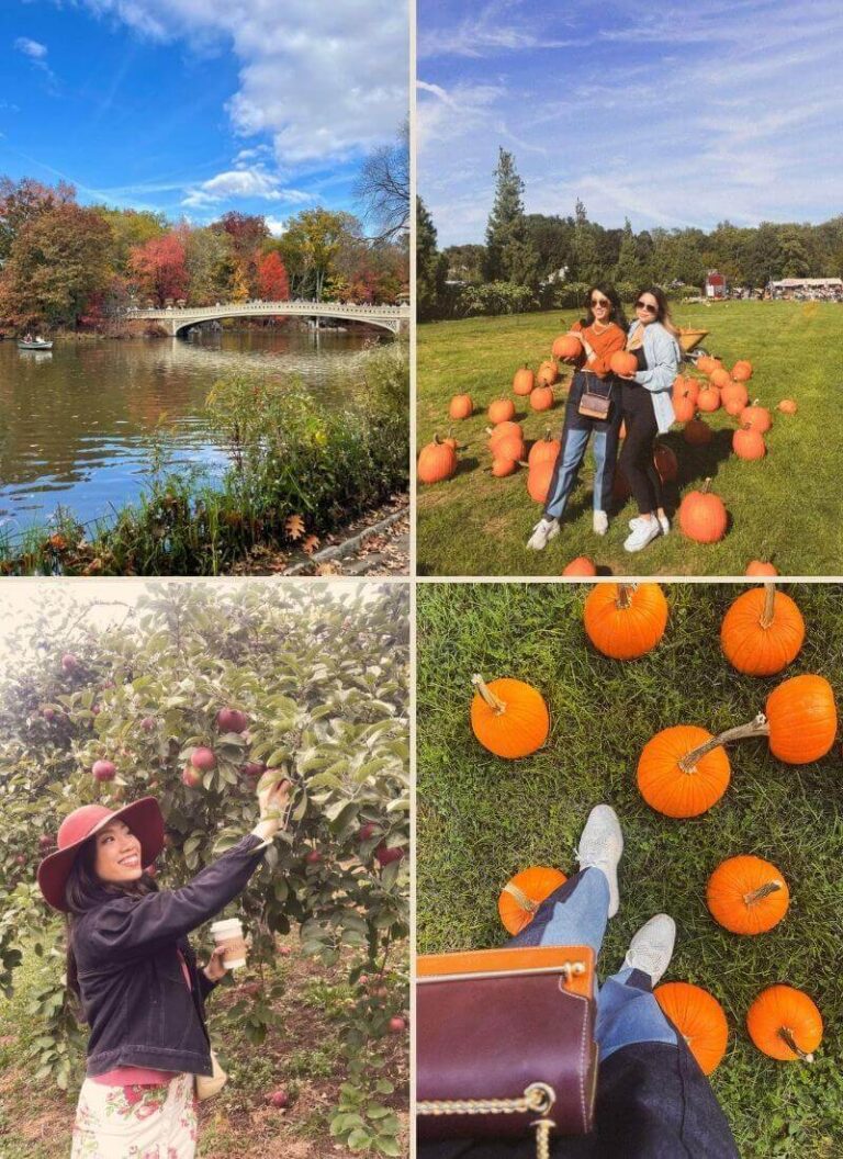 Four photos with autumn scenery showing best NYC fall activities