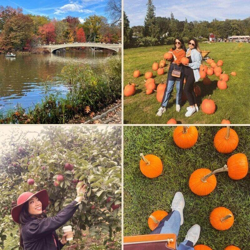Four photos with autumn scenery showing best NYC fall activities