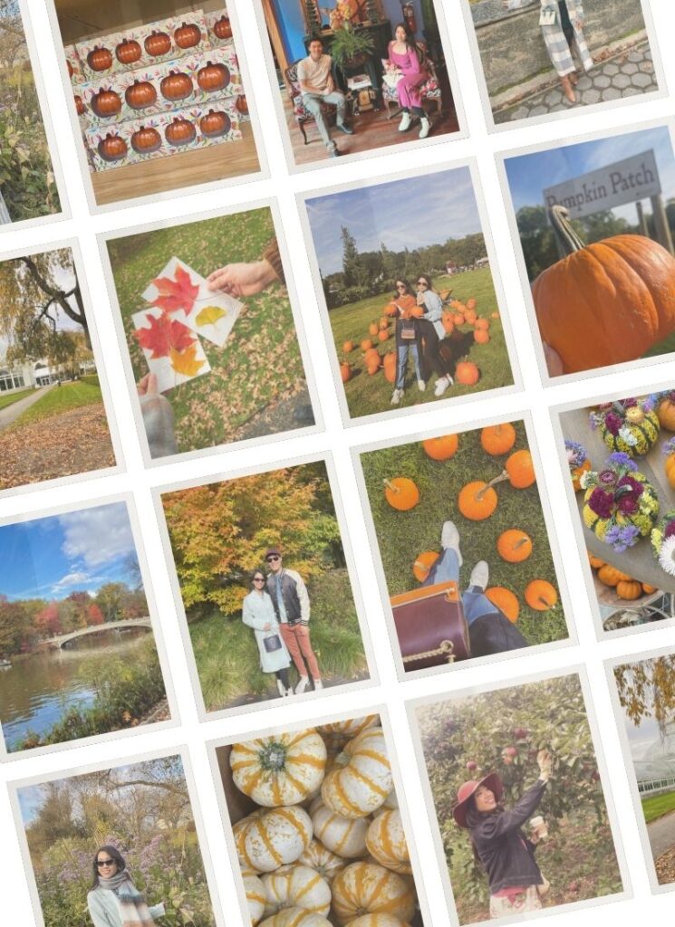 Snapshots of nyc fall activities including pumpkin picking, apple picking, and Central Park scenery