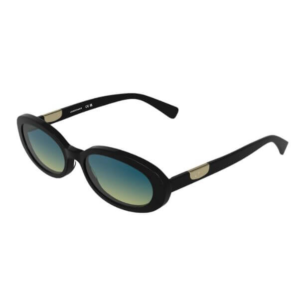 A pair of black oval sunglasses on a white background, small gift ideas for women