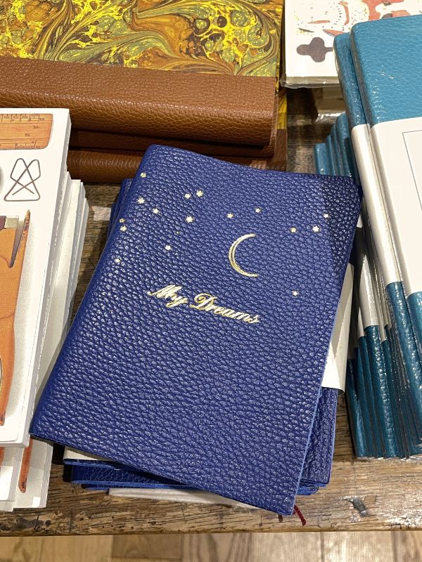 dream journal