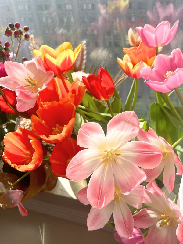 tulip day nyc tickets