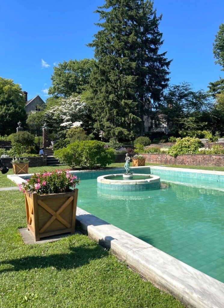 Green pool next to lush trees on a sunny day in a Long Island garden